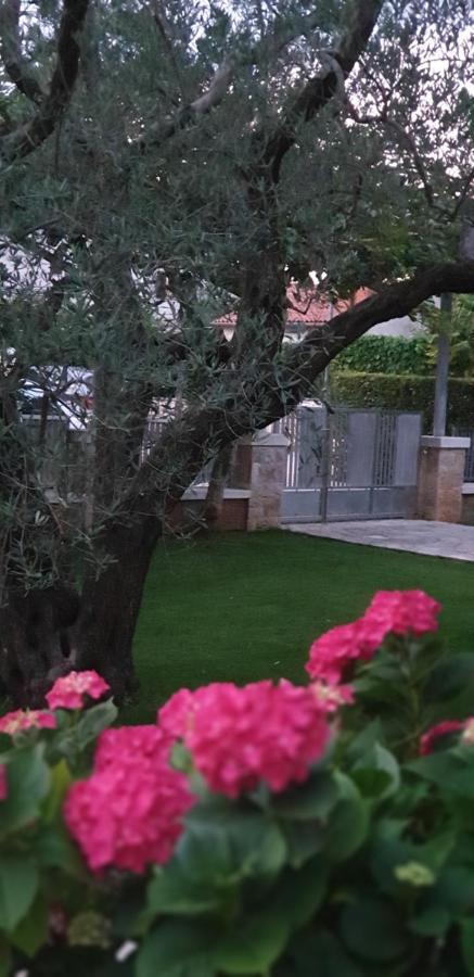 Apartments Cocaletto5 Rovinj Exterior foto